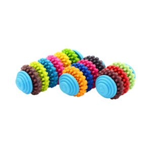 Rainbow Slide Rubber Gear Molar Chews Wholesale Pet Dog Toys