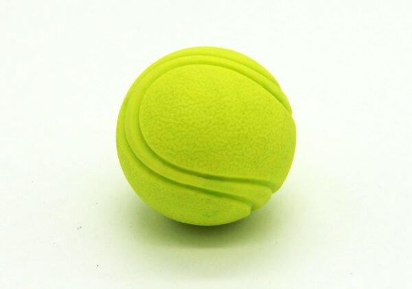TPR Dog Toy Ball